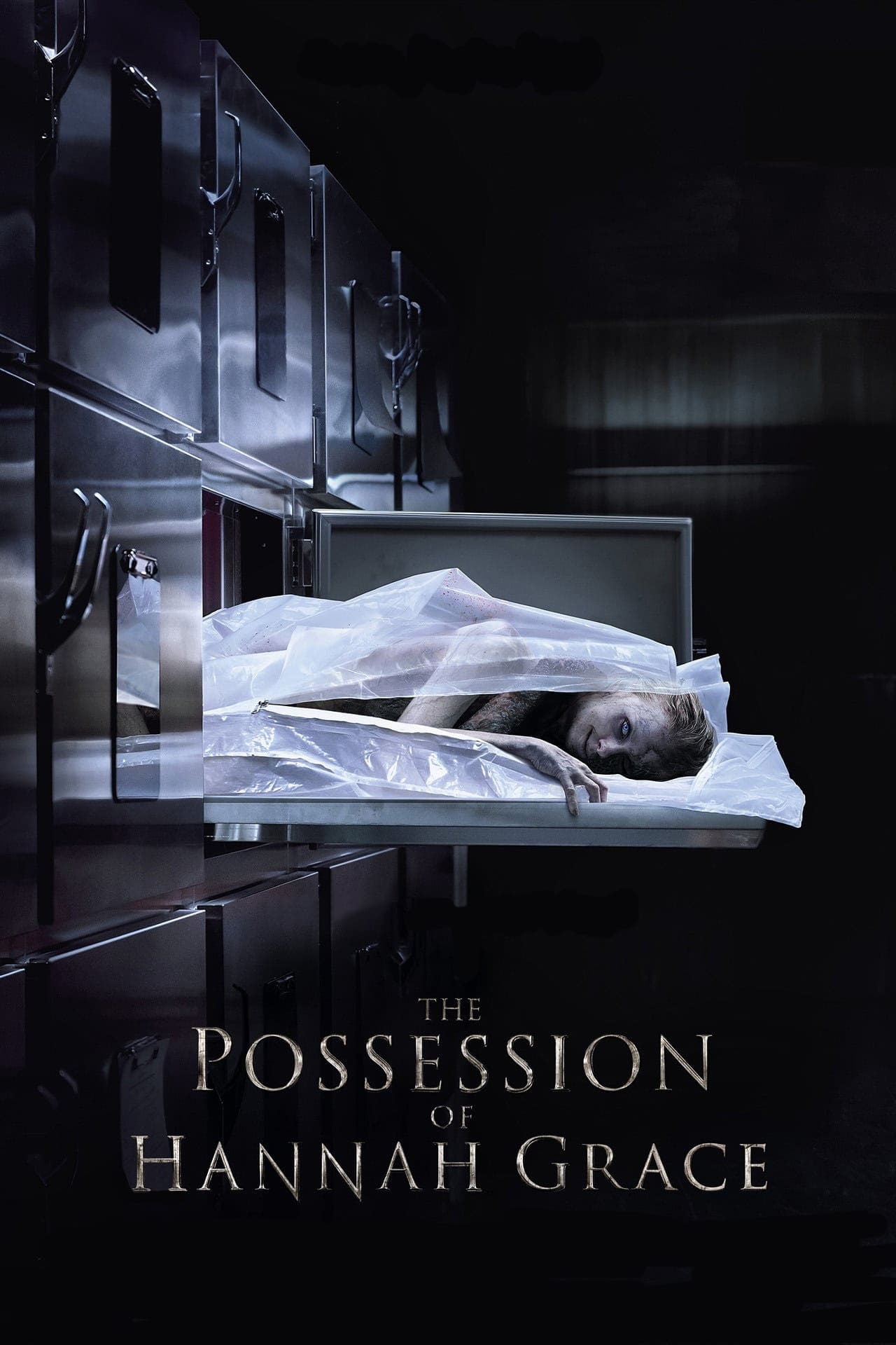 The Possession of Hannah Grace