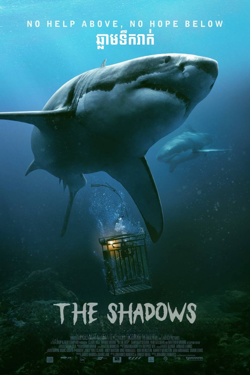 The Shallows